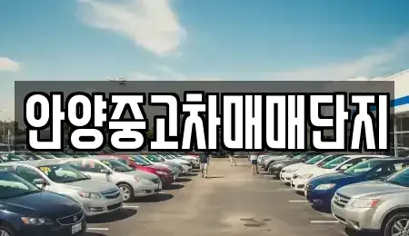경기 안양시 동안구 관양동 중고차 전문 안양중고차매매단지