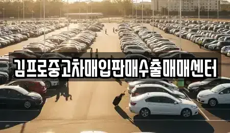 경기 안양시 동안구 관양동 중고차매입 전문 김프로중고차매입판매수출매매센터