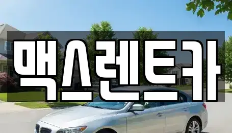 경기 용인시 수지구 동천동 렌트카 전문 맥스렌트카