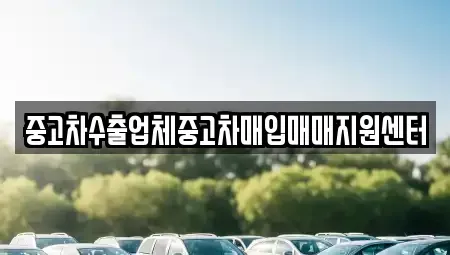 경기 용인시 수지구 동천동 중고차매입 전문 중고차수출업체중고차매입매매지원센터