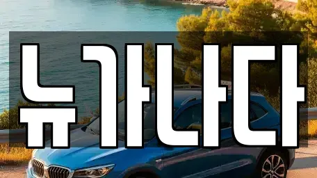 경기 파주시 문발동 렌트카 전문 뉴가나다