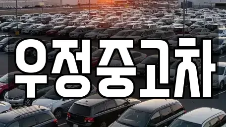 경기 파주시 문발동 중고차 전문 우정중고차