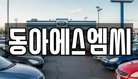 경기도 안산시 단원구 목내동 중고차 전문 동아에스엠씨