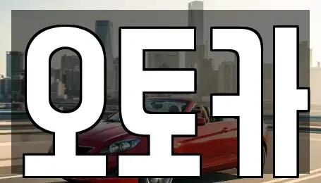 경기도 안산시 단원구 목내동 중고차 전문 오토카