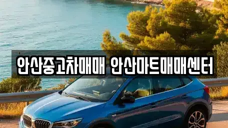 경기도 안산시 상록구 일동 중고차매매 전문 안산중고차매매 안산마트매매센터