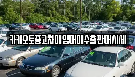 경기도 안산시 상록구 일동 중고차매입 전문 카카오토중고차매입매매수출판매시세