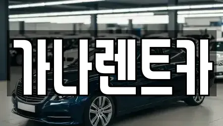 경기도 안성시 현수동 렌트카 전문 가나렌트카