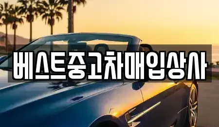 경기도 안성시 현수동 중고차매매 전문 베스트중고차매입상사