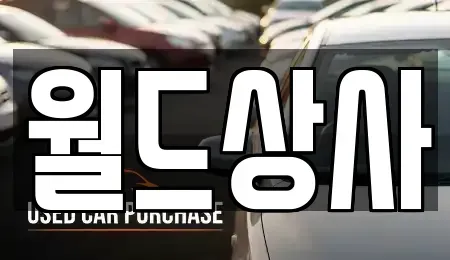 경기도 안성시 현수동 중고차매매 전문 월드상사