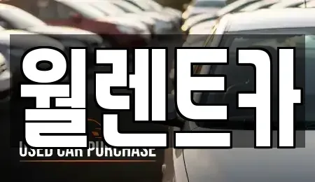 경기도 평택시 청북읍 렌트카 전문 월렌트카