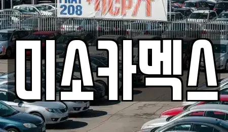 경기도 평택시 청북읍 중고차 전문 미소카멕스