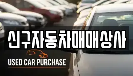 경남 창원시 진해구 대죽동 중고차매매 전문 신구자동차매매상사