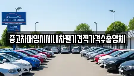 경북 경주시 성동동 중고차매입 전문 중고차매입시세내차팔기견적가격수출업체