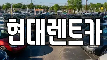 경북 포항시 남구 대도동 렌트카 전문 현대렌트카