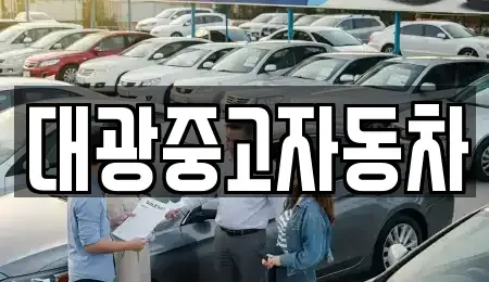 경북 포항시 남구 대도동 중고차 전문 대광중고자동차