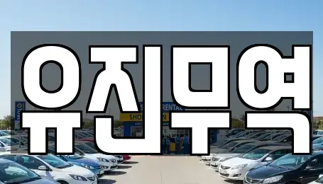 경북 포항시 남구 대도동 중고차 전문 유진무역