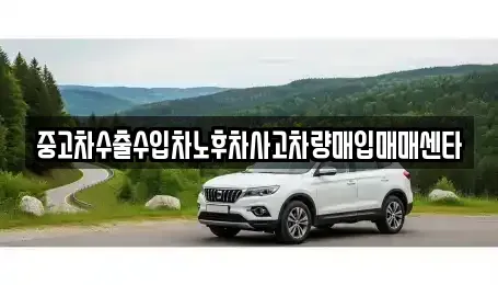 경북 포항시 남구 대도동 중고차매매 전문 중고차수출수입차노후차사고차량매입매매센타