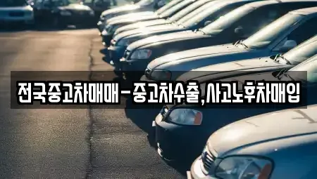 경북 포항시 남구 대도동 중고차매입 전문 전국중고차매매-중고차수출,사고노후차매입