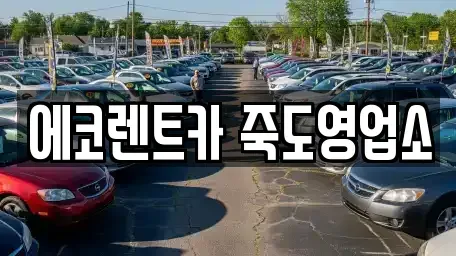 경북 포항시 북구 득량동 렌트카 전문 에코렌트카 죽도영업소