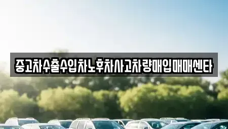 광주광역시 광산구 송촌동 중고차매입 전문 중고차수출수입차노후차사고차량매입매매센타