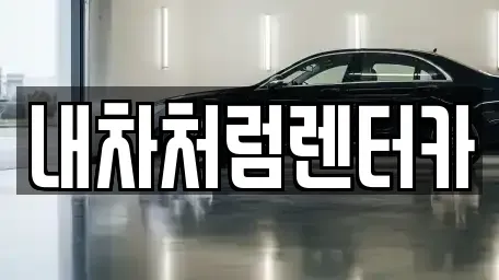 대구 달서구 도원동 렌트카 전문 내차처럼렌터카