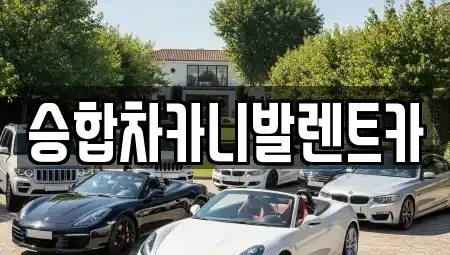 대전 유성구 지족동 렌트카 전문 승합차카니발렌트카