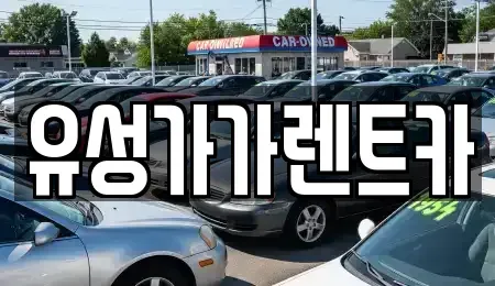 대전 유성구 지족동 렌트카 전문 유성가가렌트카