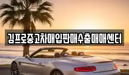 대전 유성구 지족동 중고차 전문 김프로중고차매입판매수출매매센터