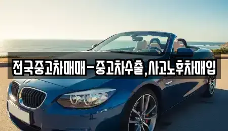 대전 유성구 지족동 중고차 전문 전국중고차매매-중고차수출,사고노후차매입