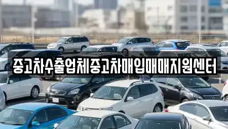 대전 유성구 지족동 중고차매입 전문 중고차수출업체중고차매입매매지원센터