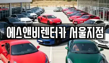 서울 강서구 단기렌트카 전문 에스앤비렌터카 서울지점