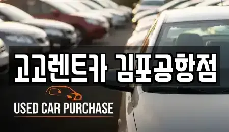 서울 강서구 렌트카 전문 고고렌트카 김포공항점