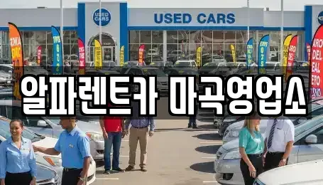 서울 강서구 렌트카 전문 알파렌트카 마곡영업소