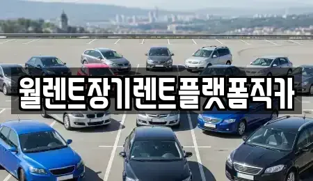 서울 강서구 장기렌트카 전문 월렌트장기렌트플랫폼직카