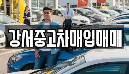 서울 강서구 중고차매입 전문 강서중고차매입매매