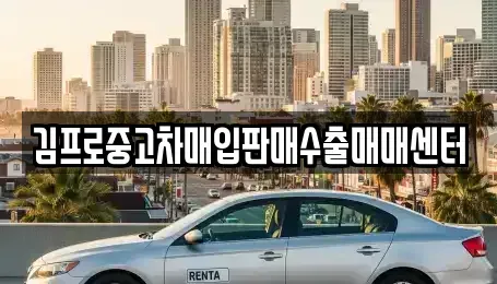 서울 강서구 중고차매입 전문 김프로중고차매입판매수출매매센터