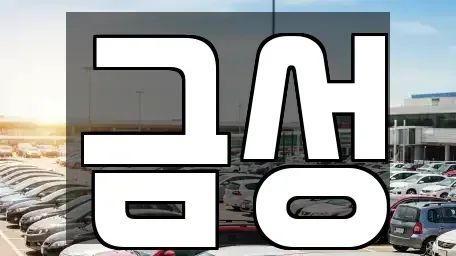 서울 도봉구 창동 렌트카 전문 금성