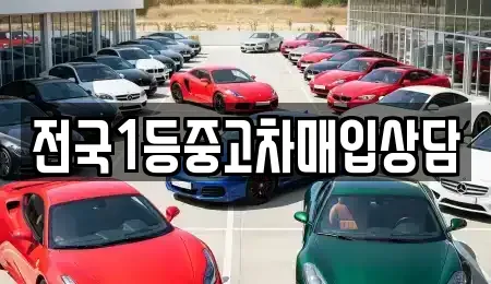 서울 도봉구 창동 중고차매입 전문 전국1등중고차매입상담