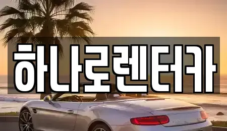 서울 송파구 삼전동 렌트카 전문 하나로렌터카