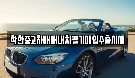 서울 송파구 삼전동 중고차 전문 착한중고차매매내차팔기매입수출시세