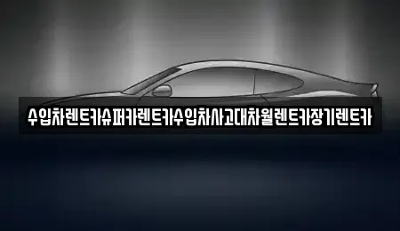 서울특별시 서대문구 충정로2가 장기렌트카 전문 수입차렌트카슈퍼카렌트카수입차사고대차월렌트카장기렌트카
