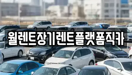 서울특별시 서대문구 충정로2가 장기렌트카 전문 월렌트장기렌트플랫폼직카
