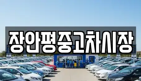 서울특별시 서대문구 충정로2가 중고차매매 전문 장안평중고차시장
