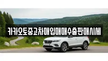 서울특별시 서대문구 충정로2가 중고차매입 전문 카카오토중고차매입매매수출판매시세