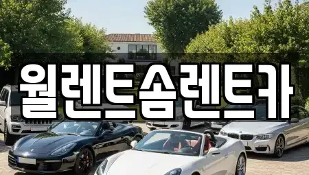 세종특별자치시 소정면 렌트카 전문 월렌트솜렌트카