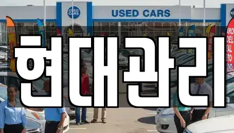 세종특별자치시 소정면 렌트카 전문 현대관리