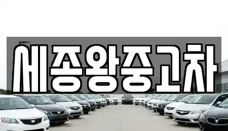세종특별자치시 소정면 중고차 전문 세종왕중고차