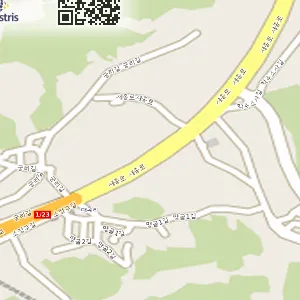 세종특별자치시 소정면 중고차 현진화물차매매상사 위치