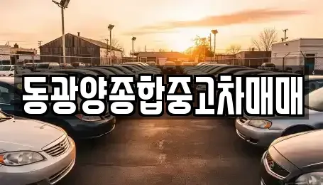 전남 광양시 중군동 중고차 전문 동광양종합중고차매매
