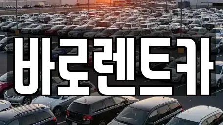 제주특별자치도 제주시 도남동 렌트카 전문 바로렌트카
